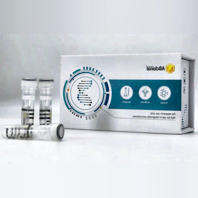 Gloria Nova HS DNA Polymerase High-Fidelity Hot-Start Enzyme for Advanced PCR Applications