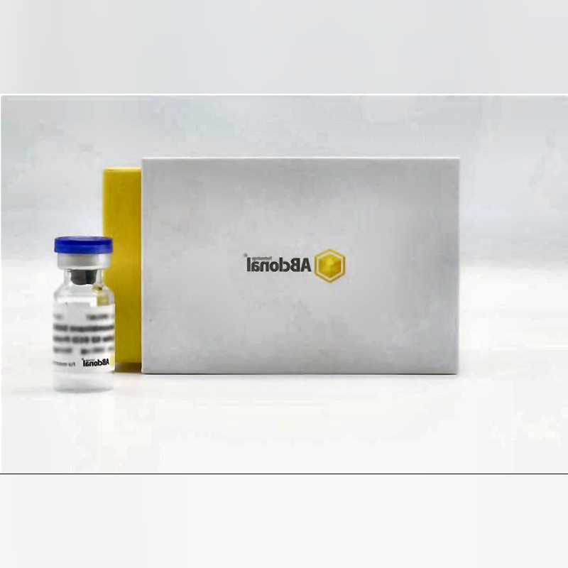 Recombinant Human IL-1β Protein 6His Tag E coli Derived