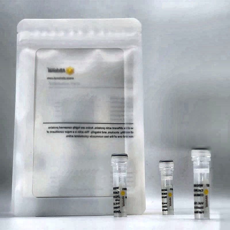 Rabbit Anti-Spike Protein IgG (Affinity Purified) for ELISA WB IF FC IP