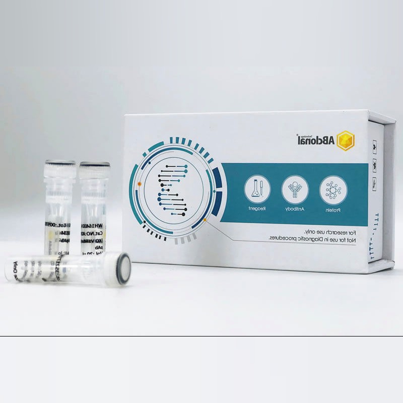 Enzyme Reagent X-500 for pXba DNA Digestion 12-Lead ECG Compatible 37C Active