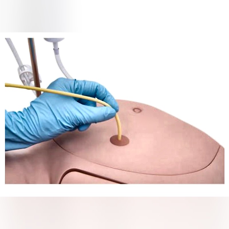 P93 PRO Catheterization Simulator with Dual-Gender Training Adjustable Urethral Resistance
