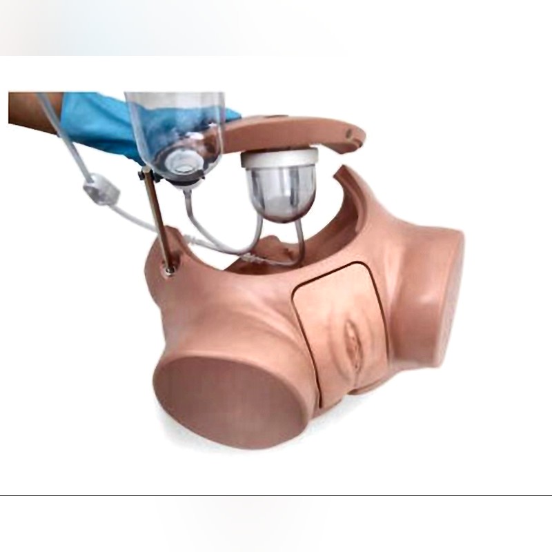 P93 PRO Catheterization Simulator with Dual-Gender Training Adjustable Urethral Resistance