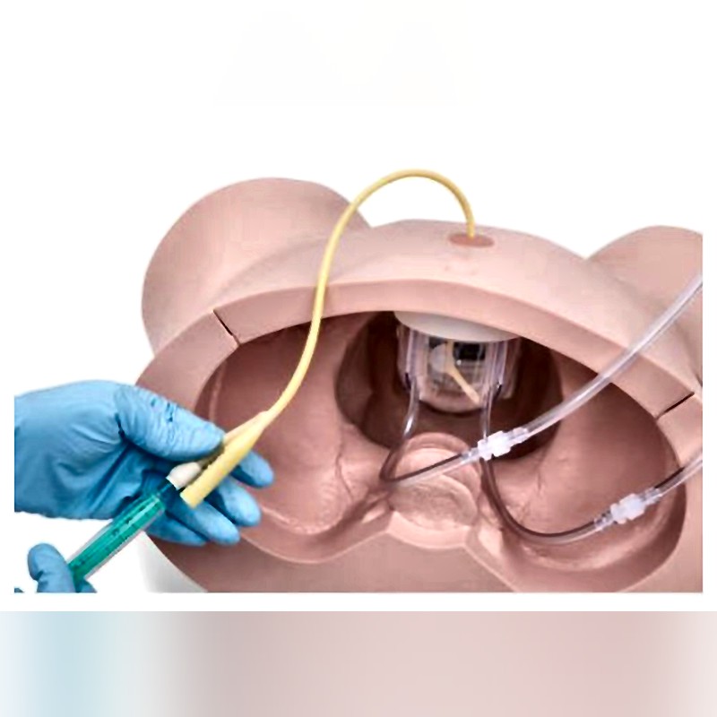 P93 PRO Catheterization Simulator with Dual-Gender Training Adjustable Urethral Resistance