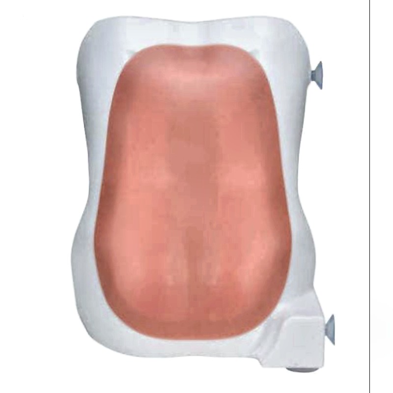 Epidural Anesthesia Simulator X-500 with Haptic Feedback Realistic Spinal Training