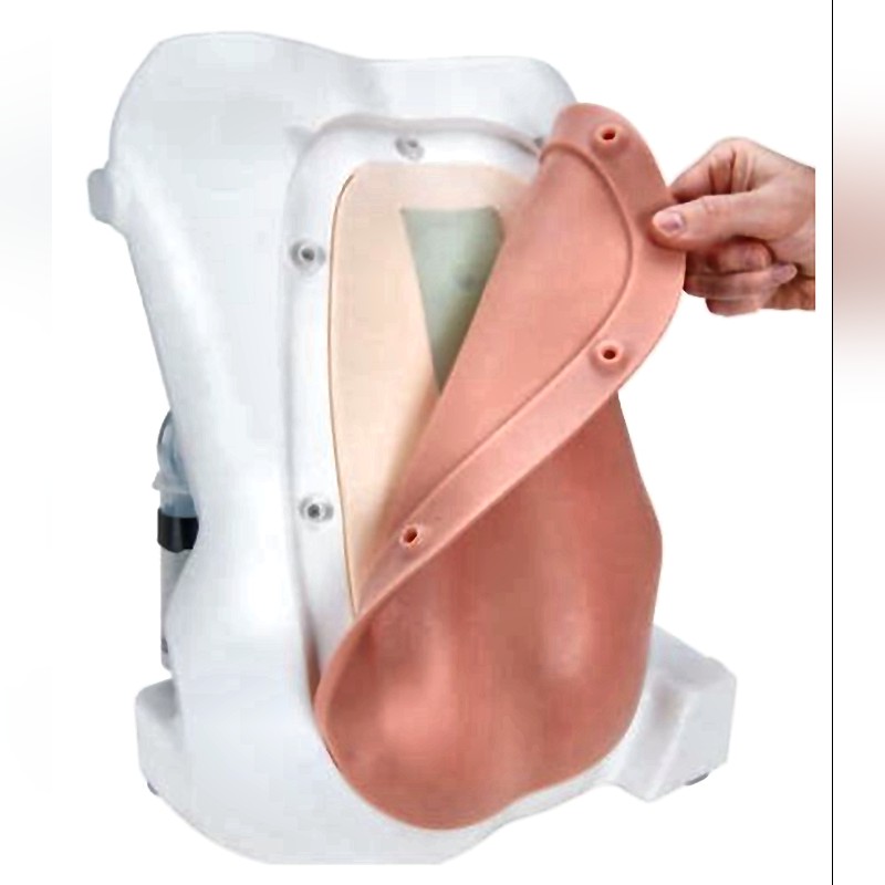 Epidural Anesthesia Simulator X-500 with Haptic Feedback Realistic Spinal Training