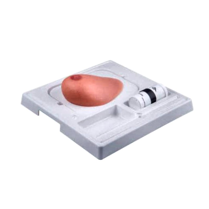 SONOtrain Breast Ultrasound Simulator with 3 Tumors