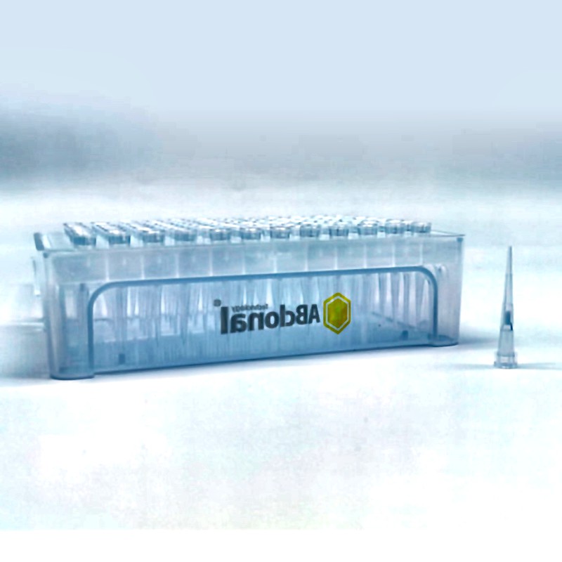 ABclonal Universal Filtered Pipette Tips 10μL Sterile DNase/RNase-Free