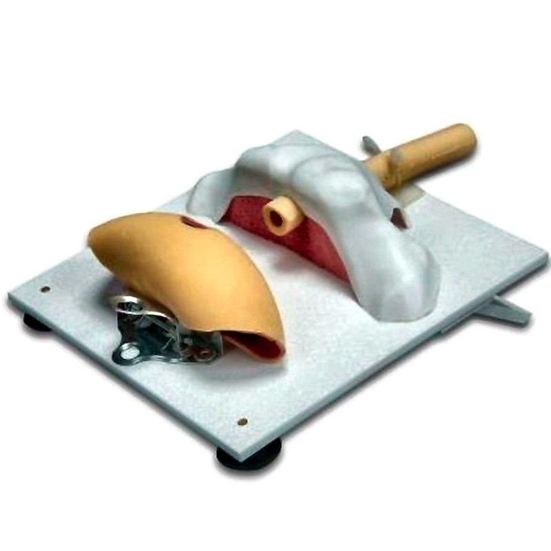 Vesico-Urethral Anastomosis Training Model X-500