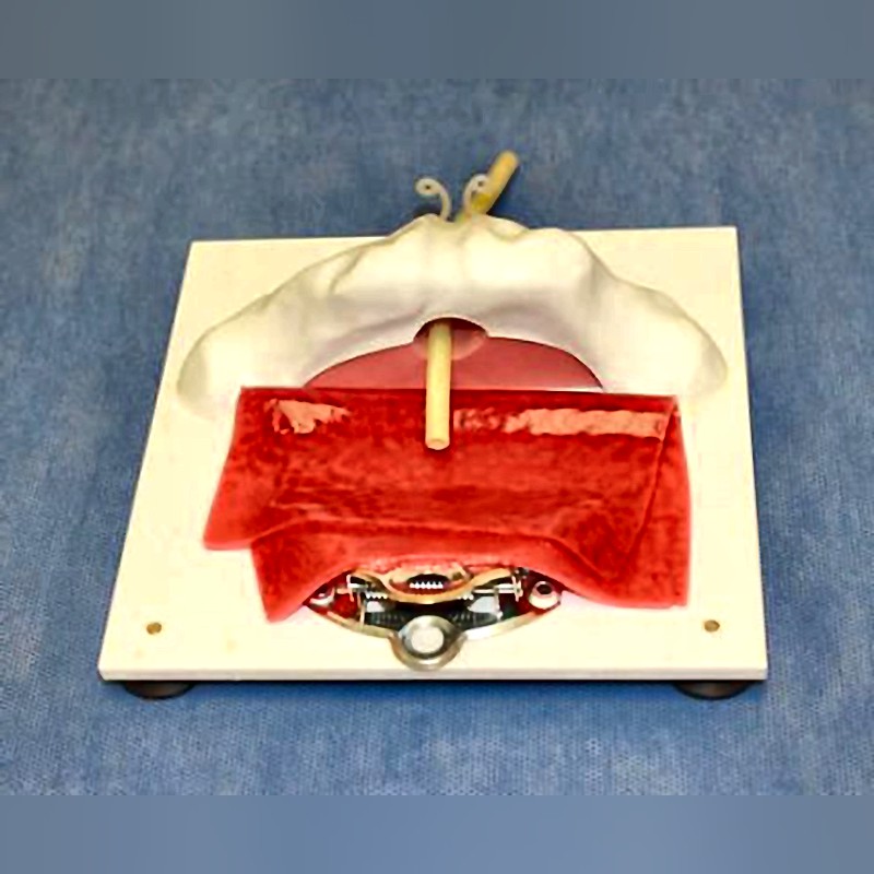 Vesico-Urethral Anastomosis Training Model X-500