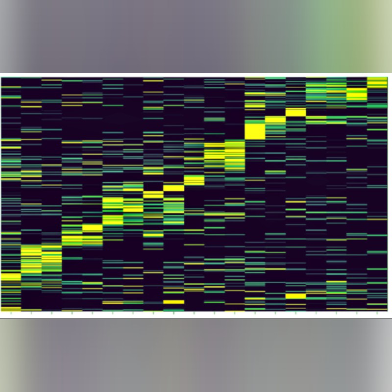 Xenium Analyzer High-Resolution Single Cell Spatial Imaging System