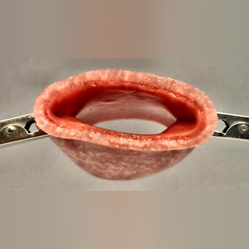 Vaginal Cuff Training Simulator for Laparoscopic Suturing 2 Tissue Model with V-Lock Compatibility