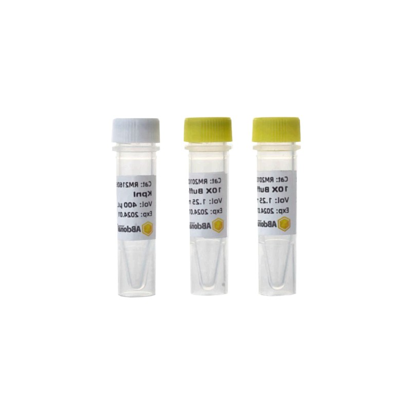 Enzyme Reagent X-500 for pXba DNA Digestion 12-Lead ECG Compatible 37C Active