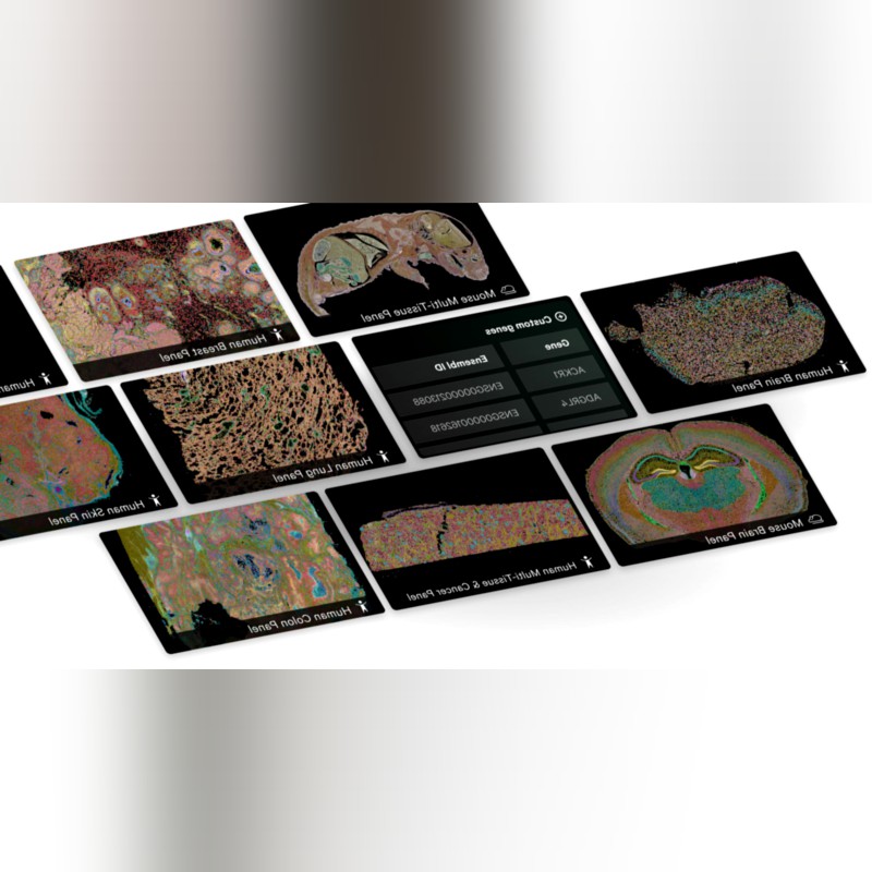 Xenium Analyzer High-Resolution Single Cell Spatial Imaging System