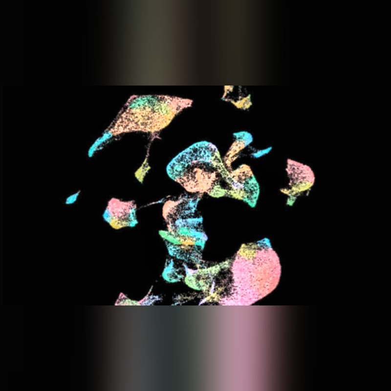 Xenium Analyzer High-Resolution Single Cell Spatial Imaging System