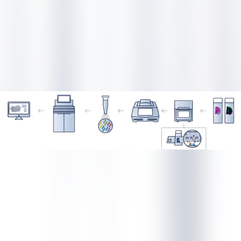 Visium CytAssist Automated Spatial Profiling System for FFPE Fresh Frozen Tissues