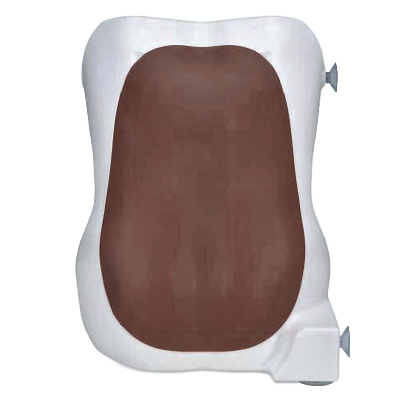 Epidural Anesthesia Simulator X-500 with Haptic Feedback Realistic Spinal Training