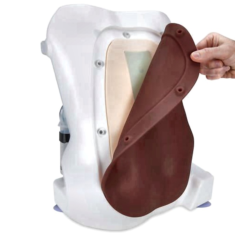 Epidural Anesthesia Simulator X-500 with Haptic Feedback Realistic Spinal Training