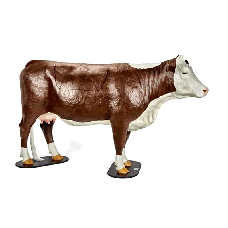 Dystocia Simulation System