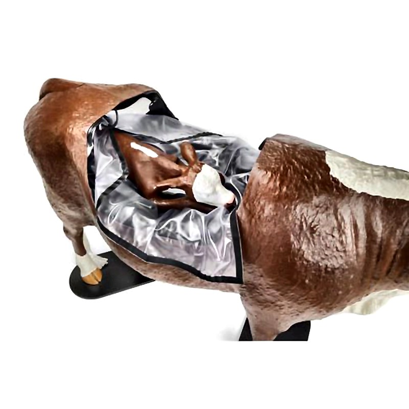 Dystocia Simulation System