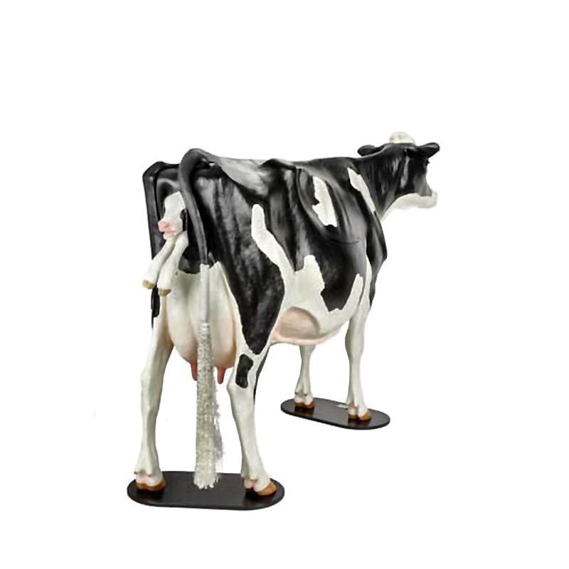 Dystocia Simulation System