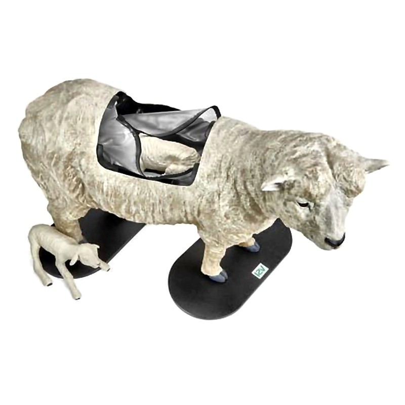 Dystocia Simulation System